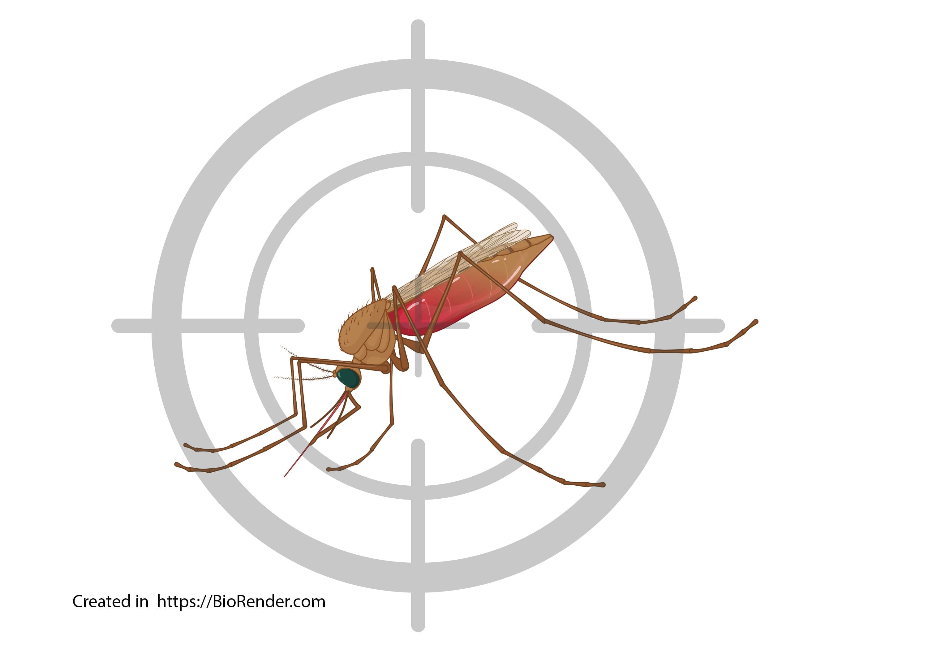 New insecticide targets